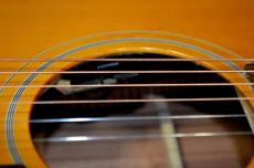 Epiphone Masterbilt TEXAN_9