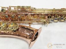 Buffet Crampon Senzo [調整済み] 【返品OK】[PK001] // セール対象商品!_4