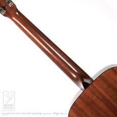 Martin D-18GE_6