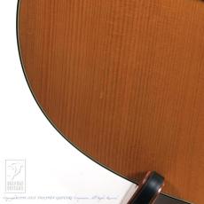 Martin D-18GE_10