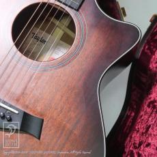 Taylor 324ce Blackwood V-Class【60回無金利対象品】 _10