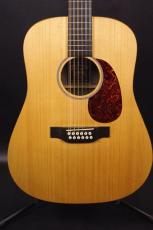 Martin D-12X 1AE