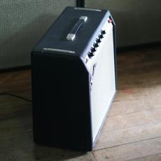 Fender Princeton Reverb-Amp (Silverface/Drip Edge)_2