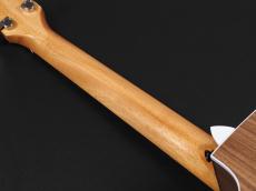 Taylor 214ce Walnut ~Natural~_9