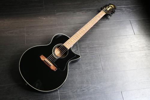 Guild SongBird ソングバード　