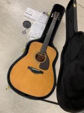 YAMAHA FGX5 エレアコ Red Label Series!