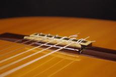 Mariano Tezanos Modelo Flamenco_6