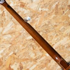 Epiphone Mastertone Bowtie Open Back Banjo_7