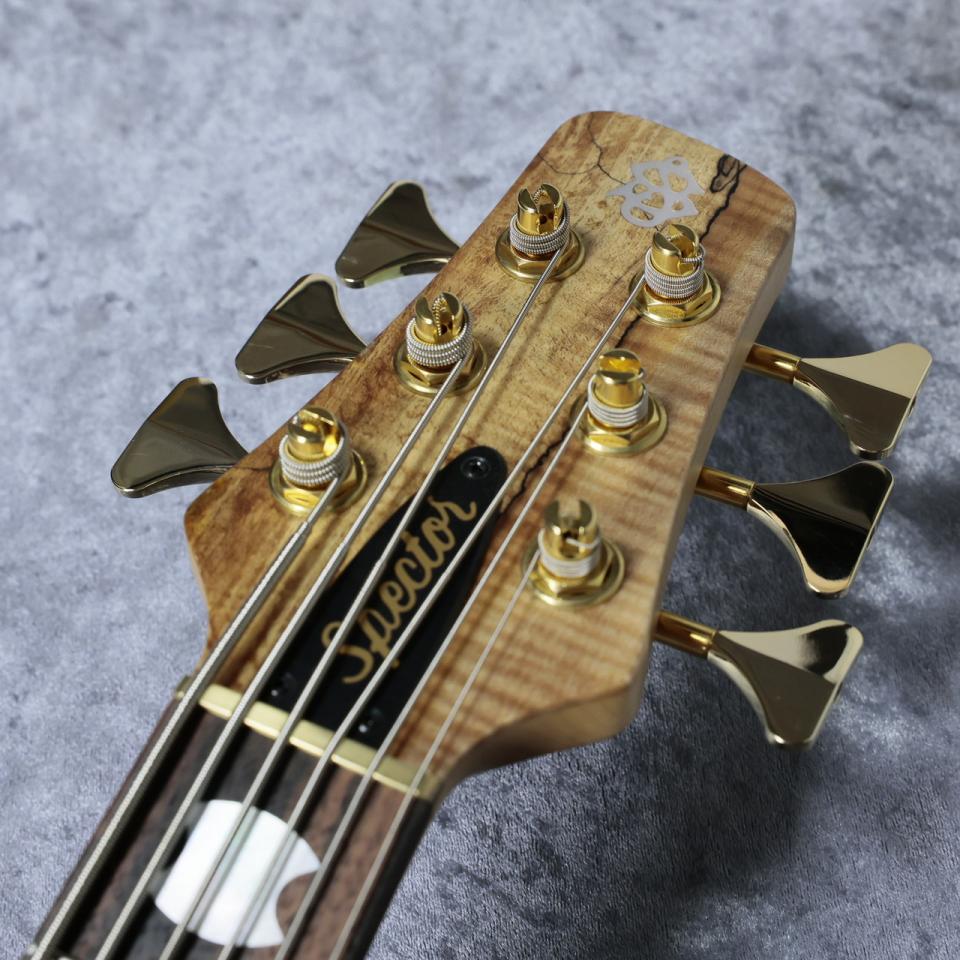 Spector Custom Shop NS-6 Super Natural - Spalted Maple Top -【4.60
