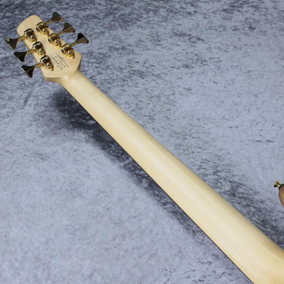 Spector Custom Shop NS-6 Super Natural - Spalted Maple Top -【4.60