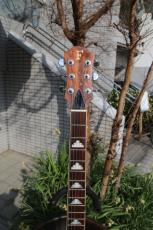 FERNANDES MG-115CGR_3