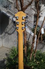 FERNANDES MG-115CGR_5