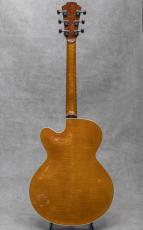 Martin Tremblay Archtop 15"_4