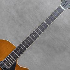 Martin Tremblay Archtop 15"_7
