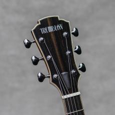 Martin Tremblay Archtop 15"_9