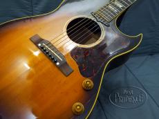 Gibson CF-100E_3
