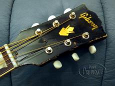 Gibson CF-100E_5