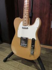Fender 1975 Telecaster Blonde/Maple_2