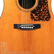 Gallagher DOC WATSON_10