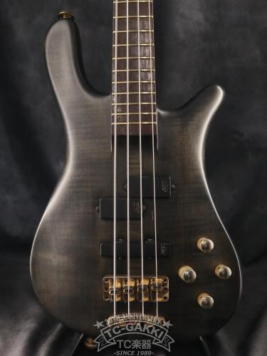 Warwick 1998 Streamer Stage I