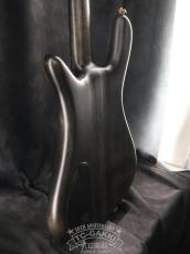 Warwick 1998 Streamer Stage I_8