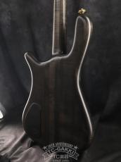 Warwick 1998 Streamer Stage I_9