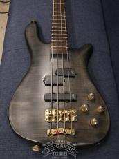 Warwick 1998 Streamer Stage I_11