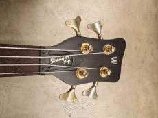 Warwick 1998 Streamer Stage I_14