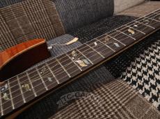 Ibanez 2005 RG8270F VV J-Custom_16