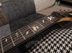 Ibanez 2005 RG8270F VV J-Custom_17