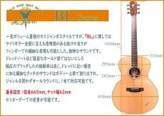 K.Yairi BL-65A SG Custom_2