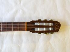 Godin Multiac Nylon Duet_2