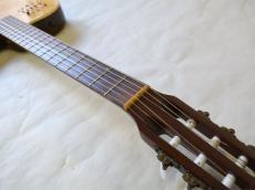 Godin Multiac Nylon Duet_4
