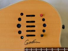 Godin Multiac Nylon Duet_5