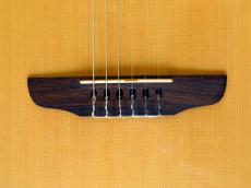 Godin Multiac Nylon Duet_6
