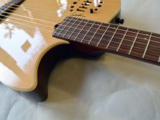 Godin Multiac Nylon Duet_7