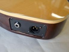 Godin Multiac Nylon Duet_8