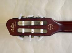 Godin Multiac Nylon Duet_9
