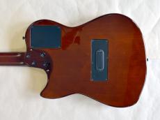 Godin Multiac Nylon Duet_10