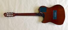 Godin Multiac Nylon Duet_11