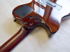 Godin Multiac Nylon Duet_12
