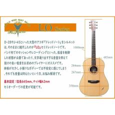 K.Yairi LO-120 SG Custom_2