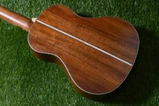 KALA KA-AMHG-ST SuperTenor_3