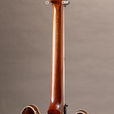 Lasting ESNOVA Rosewood P90 Dogear_7