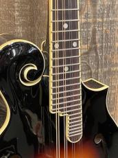 The Loar LM-520-VS Hand-Carved Mandolins_4