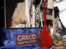 Greco EGF-1200_6