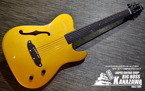 SCHECTER Oriental Line OL-FL-P【限定カラー!!エレキギター感覚のエレアコ!】