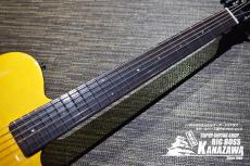 SCHECTER Oriental Line OL-FL-P【限定カラー!!エレキギター感覚のエレアコ!】_2