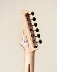 FUJIGEN Expert ODYSSEY EOS2-FM-R -Ripe Kaki Gradation- 【3.52kg】_9