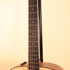 Taylor 110e Walnut 2017#2211141423【NEW】【スプルース単板】_6